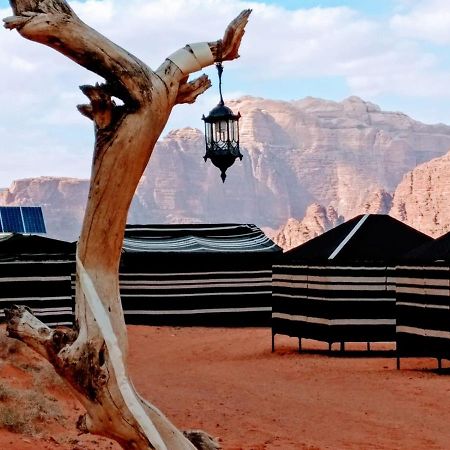Desert Tree Camp&Tours Wadi Rum Esterno foto