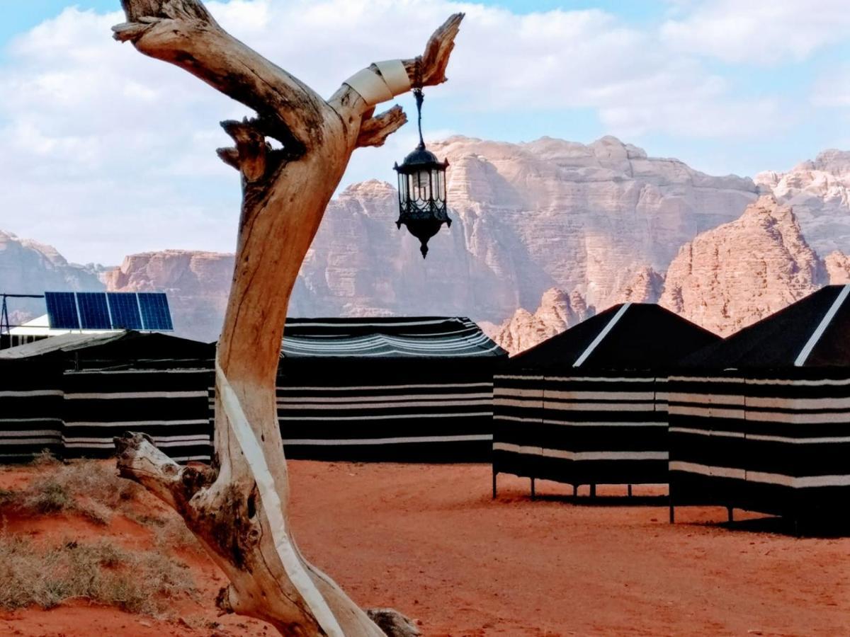Desert Tree Camp&Tours Wadi Rum Esterno foto